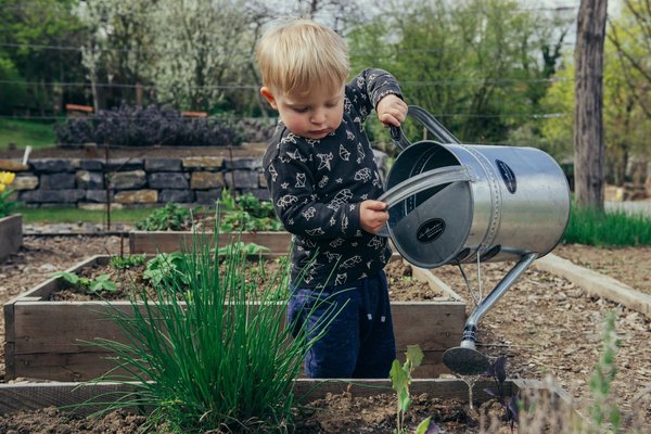 les avantages d'avoir un potager en carré dans votre jardin pour une meilleure organisation