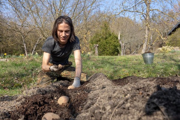 Guide pour s'initier à la permaculture à Genève