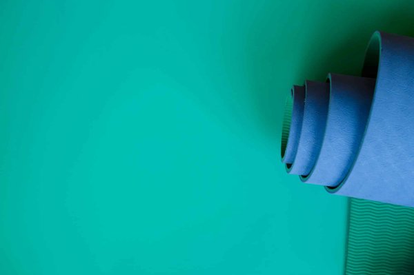 Pourquoi choisir le tapis de bain bleu canard et quelles sont ses caractéristiques ?